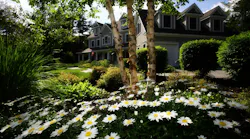 Photo: Unsplash/Thirsty Turf Irrigation