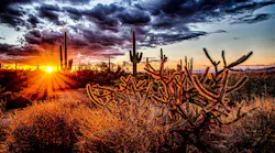 Photo: Unsplash/Robert Murray