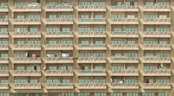 Photo: Unsplash/Michael Black Ritter