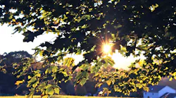 Photo: Unsplash/Juliandra Durkin