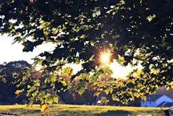 66fdc57cd4ea383206a5a560 Juliandradurkinfarmhouse 66fdc57cd4ea383206a5a560 Juliandradurkinfarmhouse