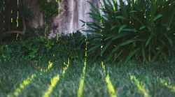 Photo: Unsplash/Tim Mossholder