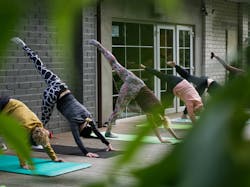 66fdc58436c97e45248b6cdb Rimakrucienewellness 66fdc58436c97e45248b6cdb Rimakrucienewellness