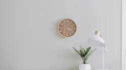 Photo: Unsplash/Samantha Gades