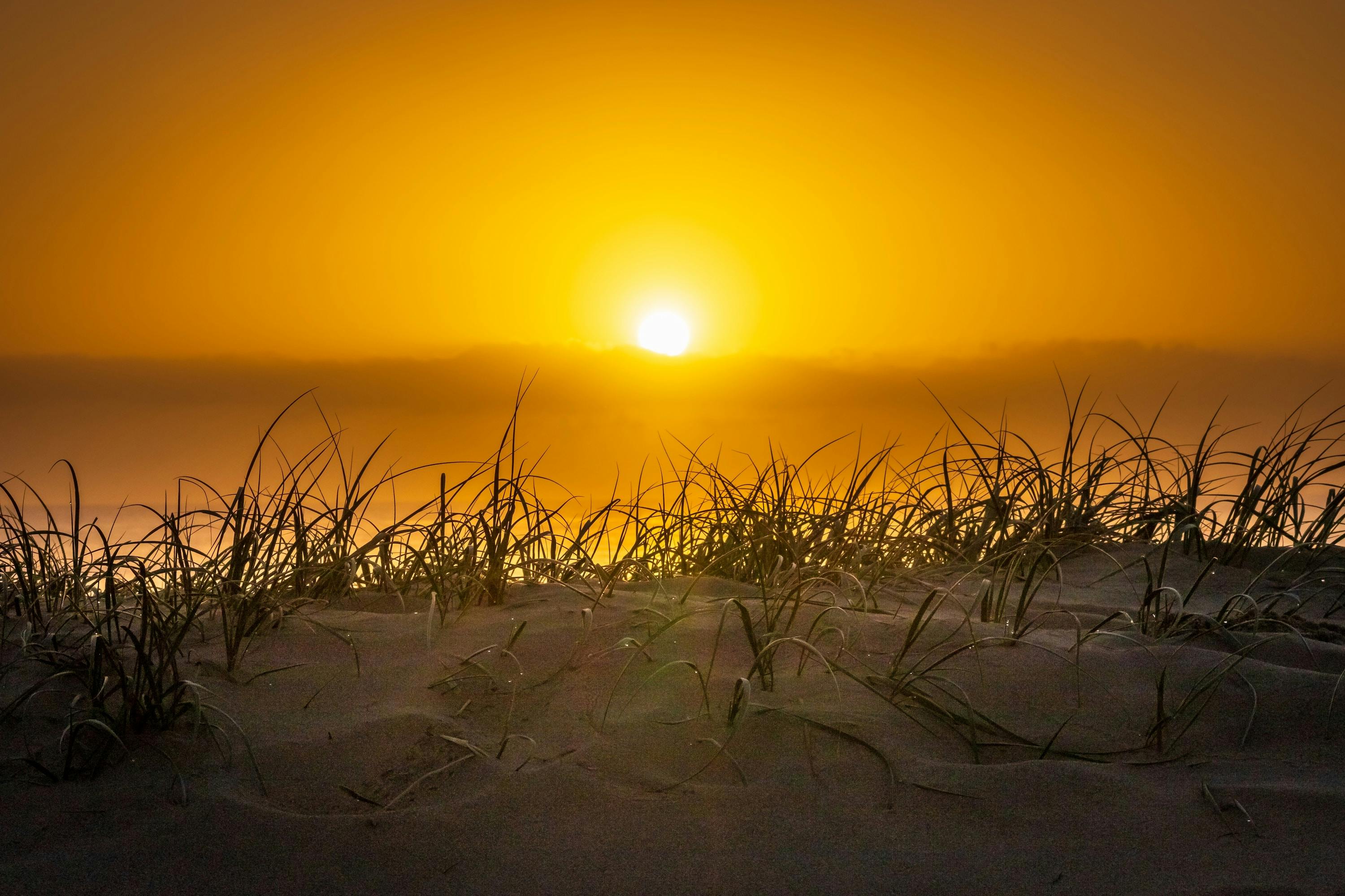 66fdc595e1fd4a4b1fe1fc31 Andyhutchinsonsun