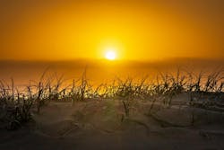 66fdc595e1fd4a4b1fe1fc31 Andyhutchinsonsun 66fdc595e1fd4a4b1fe1fc31 Andyhutchinsonsun