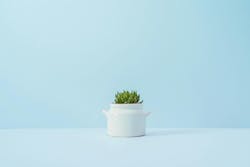 66fdc5963cabd909afa6a6e1 Khaiszeongsucculentplant 66fdc5963cabd909afa6a6e1 Khaiszeongsucculentplant