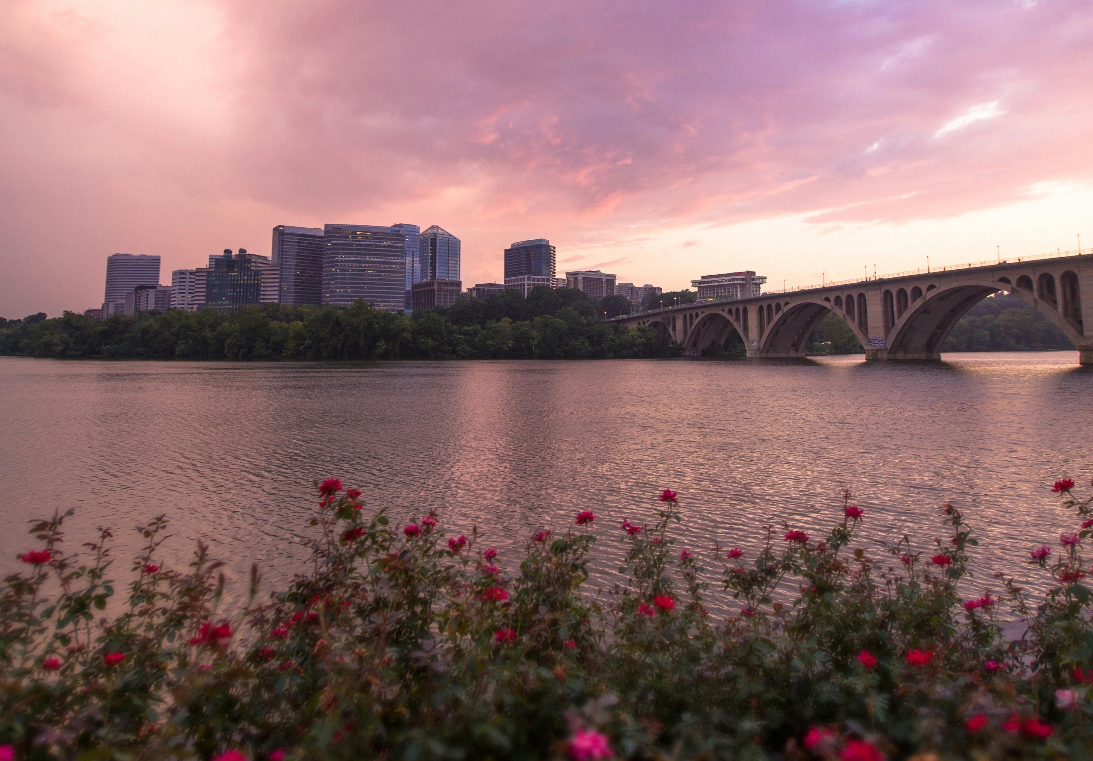 66fdc5983cabd906c1a6a6e2 Robertonicksonpotomacarlington