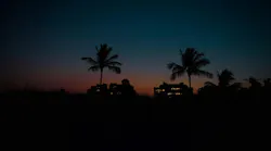 Photo: Unsplash/Martin Lostak