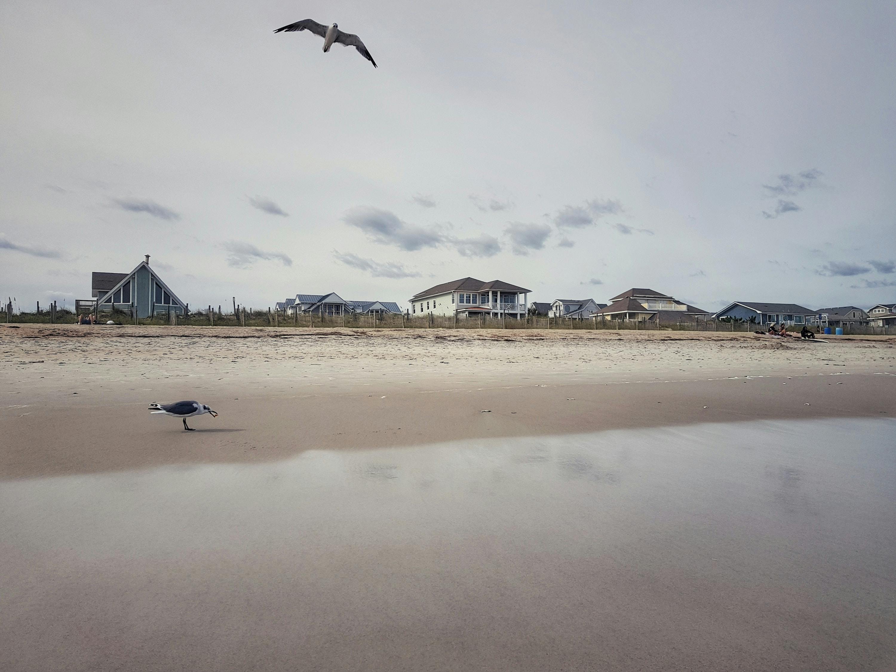 66fdc598de5fd14be3549777 Ivanadjudicwilmingtonnorthcarolina