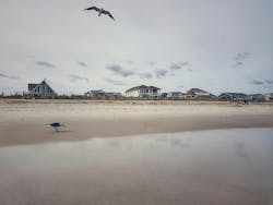 66fdc598de5fd14be3549777 Ivanadjudicwilmingtonnorthcarolina 66fdc598de5fd14be3549777 Ivanadjudicwilmingtonnorthcarolina