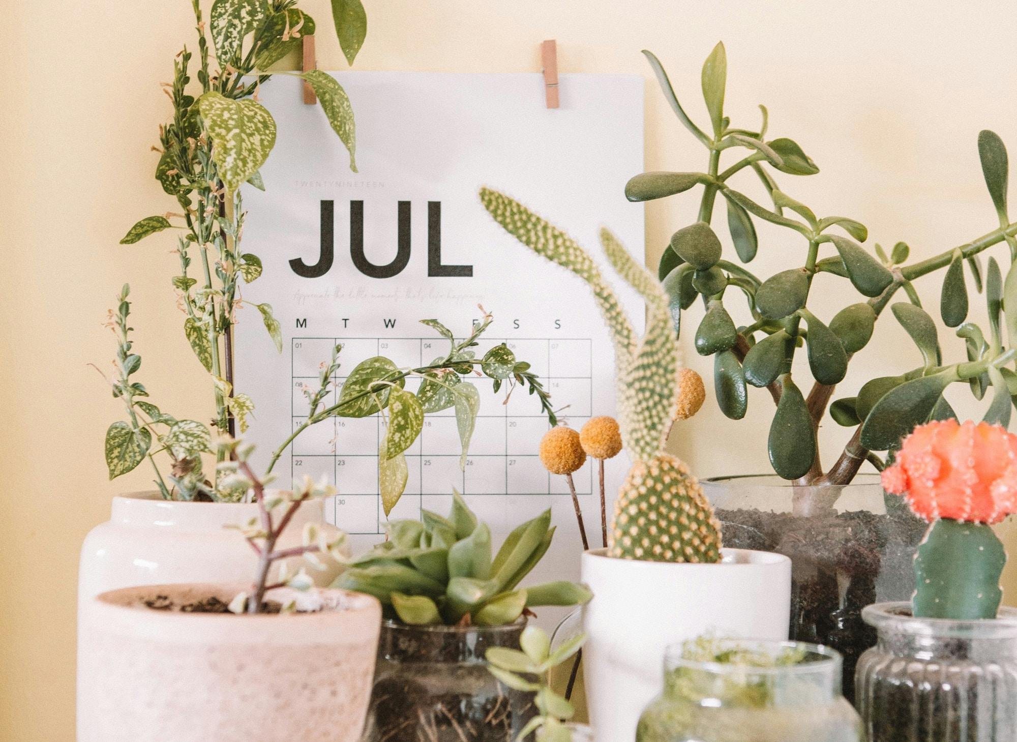 66fdc59be63fdc3dc84592bd Maddibazzoccojuly