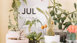 Photo: Unsplash/Maddi Bazzocco