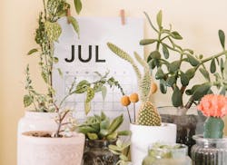 66fdc59be63fdc3dc84592bd Maddibazzoccojuly 66fdc59be63fdc3dc84592bd Maddibazzoccojuly