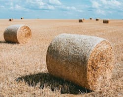 66fdc5b3a897b54309b20a08 Hay Stack On Brown Field 0 66fdc5b3a897b54309b20a08 Hay Stack On Brown Field 0