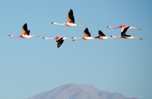 66fdc5b7e1fd4a3466e1fc6f Moving 0