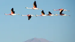 Photo by Shwetha Shankar on Unsplash
