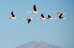 66fdc5b7e1fd4a3466e1fc6f Moving 0 66fdc5b7e1fd4a3466e1fc6f Moving 0