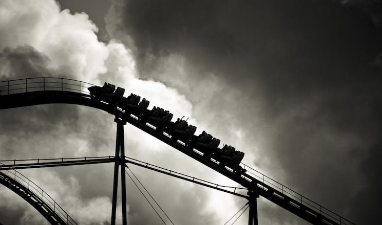 66fdc5c836c97e93418b6d50 Uncertainty20prevailsflickr20user20followyour20nos