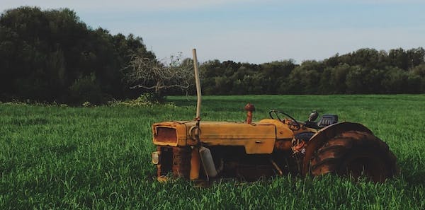 66fdc5cfd4ea380749a5a5cf Farm 0