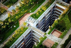 66fdc5d0a5dba09d86463137 Rooftop20garden 66fdc5d0a5dba09d86463137 Rooftop20garden