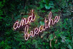 66fdc5e036c97e46d18b6d71 Breathe 66fdc5e036c97e46d18b6d71 Breathe