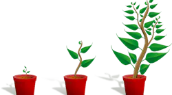 Image by OpenClipart-Vectors from Pixabay