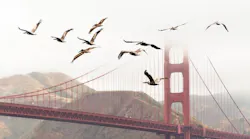 Photo by Andrew Ruiz on Unsplash
