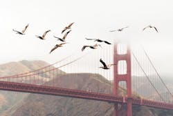 66fdc5e4a5dba06a0d463157 Relocate 66fdc5e4a5dba06a0d463157 Relocate