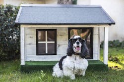 66fdc5e93cabd97310a6a75f Doginfrontofhouse 66fdc5e93cabd97310a6a75f Doginfrontofhouse