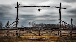 66fdc5eba897b57bf6b20a76 Texas1581881 640 66fdc5eba897b57bf6b20a76 Texas1581881 640