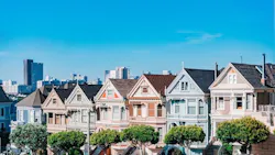 66fdc5ecdbd68e96de4ab41b Paintedladies