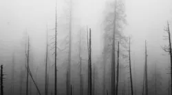 Photo by Jamie Hagan on Unsplash