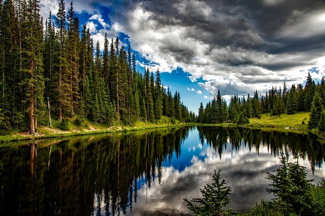 Image by David Mark from Pixabay
