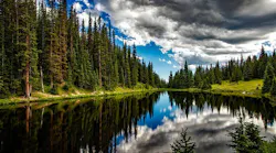 Image by David Mark from Pixabay