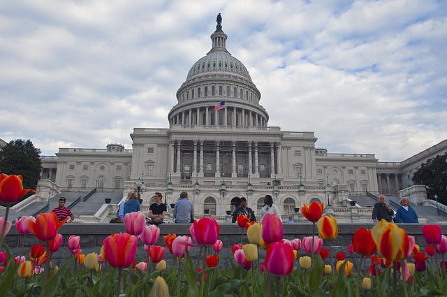 66fdc5f8e63fdcc43b459359 Washington20d