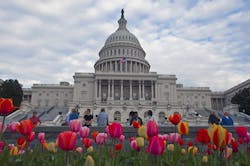 66fdc5f8e63fdcc43b459359 Washington20d 66fdc5f8e63fdcc43b459359 Washington20d