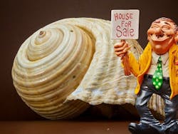 66fdc5fae1fd4a1155e1fcfc Snailforsalehome 66fdc5fae1fd4a1155e1fcfc Snailforsalehome