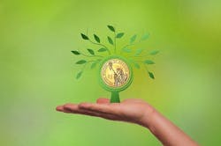 66fdc60701d3bf9330af85be Moneytree 66fdc60701d3bf9330af85be Moneytree