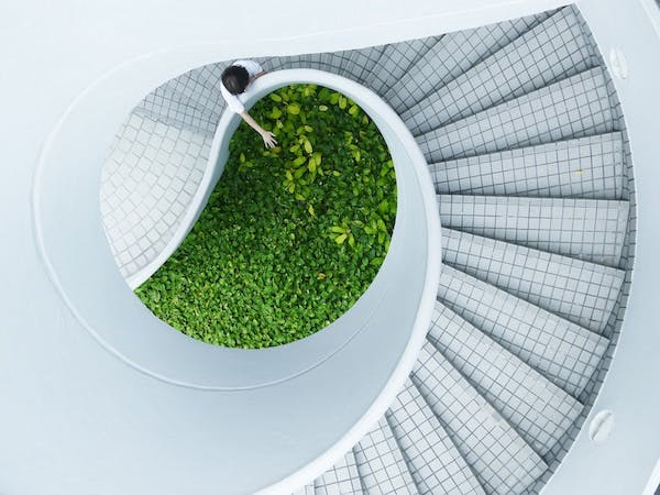 66fdc608a5dba0f4984631af Leedstandardssustainability