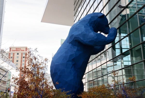 66fdc60aa897b5a851b20ac1 Denverbear