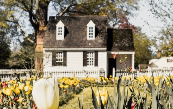 66fdc60adbd68e033a4ab458 Arlingtonvahouse