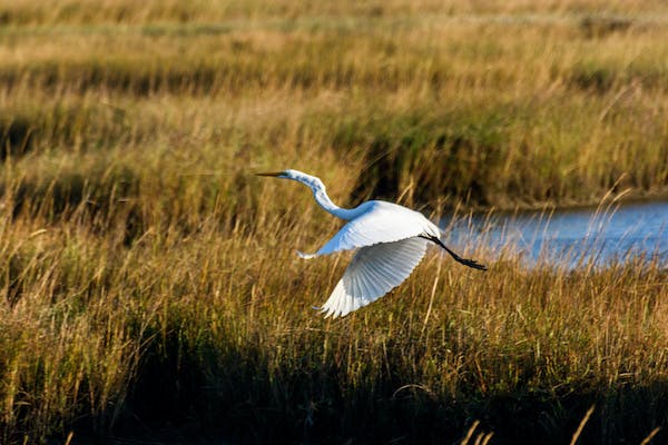 66fdc622de5fd1ffbd54988b Greategret