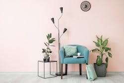 66fdc62e36c97e5eda8b6e13 Pinkroom 66fdc62e36c97e5eda8b6e13 Pinkroom