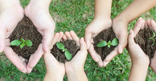 66fdc64ed4ea380c61a5a6e8 Adobestock 201517524