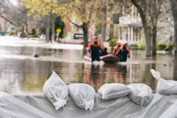66fdc65536c97e1f088b6e64 Floodinginneighborhood
