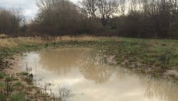 66fdc65cd4ea382f05a5a711 Mudpuddlewithtreeswotusregulationsdonotapply 66fdc65cd4ea382f05a5a711 Mudpuddlewithtreeswotusregulationsdonotapply