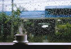 66fdc6673cabd92e0ba6a884 Rainydayspring 66fdc6673cabd92e0ba6a884 Rainydayspring