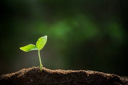 66fdc69301d3bf0fd4af86ff Sproutlingreachingforsun 66fdc69301d3bf0fd4af86ff Sproutlingreachingforsun