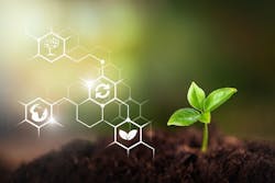 66fdc69ce63fdc7bac4594e8 Sustainabilityphotoconcept 66fdc69ce63fdc7bac4594e8 Sustainabilityphotoconcept